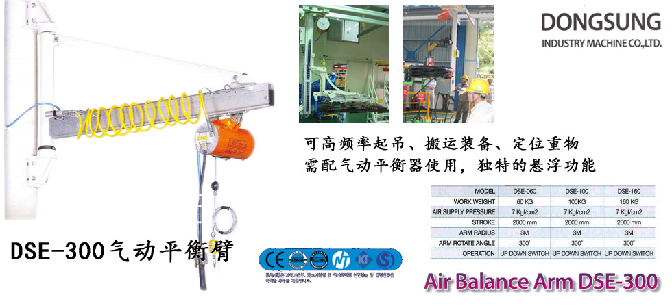 DSE-300氣動(dòng)平衡臂產(chǎn)品圖