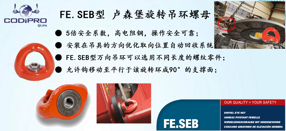 FE.SEB型萬(wàn)向旋轉(zhuǎn)吊環(huán)螺母圖