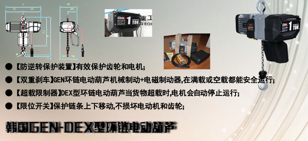 韓國(guó)DEX型環(huán)鏈電動(dòng)葫蘆圖