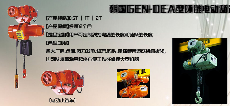 韓國DEA型電動環(huán)鏈葫蘆圖