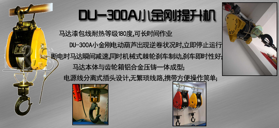 DU-300A小金剛電動(dòng)提升機(jī)