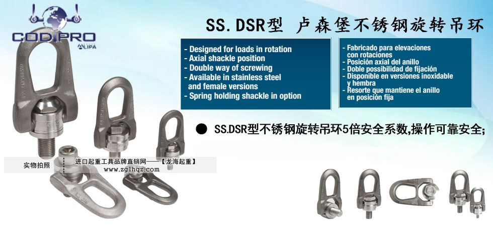 盧森堡SS.DSR型旋轉(zhuǎn)吊環(huán)圖